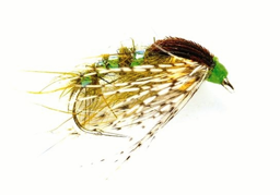 Afficher les détails pour TUNGSTEN NYMPHEN HOLY GRAIL OLIVE Image de TUNGSTEN NYMPHEN HOLY GRAIL OLIVE