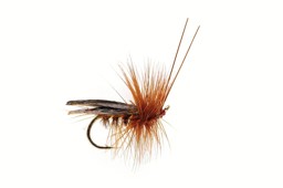 Zeige Details für TROCKENFLIEGE SEDGE SAVILLE SUPER DARK BROWN Bild von TROCKENFLIEGE SEDGE SAVILLE SUPER DARK BROWN