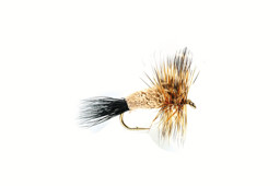 Zeige Details für TROCKENFLIEGE IRRESISTIBLE ADAMS Bild von TROCKENFLIEGE IRRESISTIBLE ADAMS