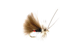 Zeige Details für TROCKENFLIEGE SEDGE HIGH RIDER CDC BLACK Bild von TROCKENFLIEGE SEDGE HIGH RIDER CDC BLACK