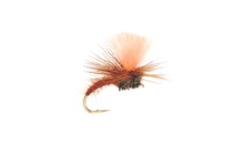 Zeige Details für TROCKENFLIEGE TUTTY FRUITY KLINK BARBLESS Bild von TROCKENFLIEGE TUTTY FRUITY KLINK BARBLESS