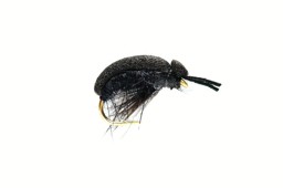 Zeige Details für TROCKENFLIEGE FOAM BEETLE (CARNHILL'S) Bild von TROCKENFLIEGE FOAM BEETLE (CARNHILL'S)