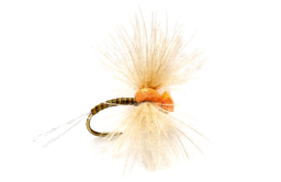 Zeige Details für TROCKENFLIEGE DROP ARSE SPINNER OLIVE BARBLESS Bild von TROCKENFLIEGE DROP ARSE SPINNER OLIVE BARBLESS