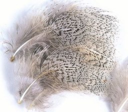 Vedi i dettagli per VENIARD ENGLISH PARTRIDGE - GREY NECK FEATHERS Immagine di VENIARD ENGLISH PARTRIDGE - GREY NECK FEATHERS
