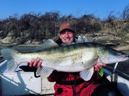 Show products in category Zander-Fischen Picture for category Zander-Fischen