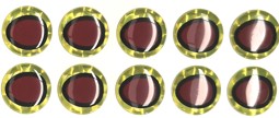 Show details for BAUERS EPOXY EYES CHARTREUSE Picture of BAUERS EPOXY EYES CHARTREUSE