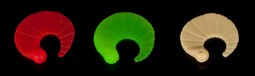 Vedi i dettagli per IRON TROUT CODA SCURA MIX Immagine di IRON TROUT CODA SCURA MIX
