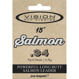 Show details for VISION SALMON LEADER Picture of VISION SALMON LEADER