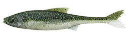 Vedi i dettagli per REAL RIDER FISH TAIL 035 Immagine di REAL RIDER FISH TAIL 035