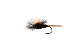 Show details for  CATCHY FLIES -  BLACK SECRET Picture of  CATCHY FLIES -  BLACK SECRET