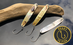 Show details for PREMIUM GOLD LIP PERLMUTT-SPANGE Picture of PREMIUM GOLD LIP PERLMUTT-SPANGE