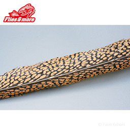 Show details for F&M GOLDFASAN SCHWANZFEDER NATUR 55CM Picture of F&M GOLDFASAN SCHWANZFEDER NATUR 55CM