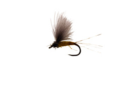 Zeige Details für CATCHY FLIES -  CDC BAETIS OLIVE BARBLESS Bild von CATCHY FLIES -  CDC BAETIS OLIVE BARBLESS