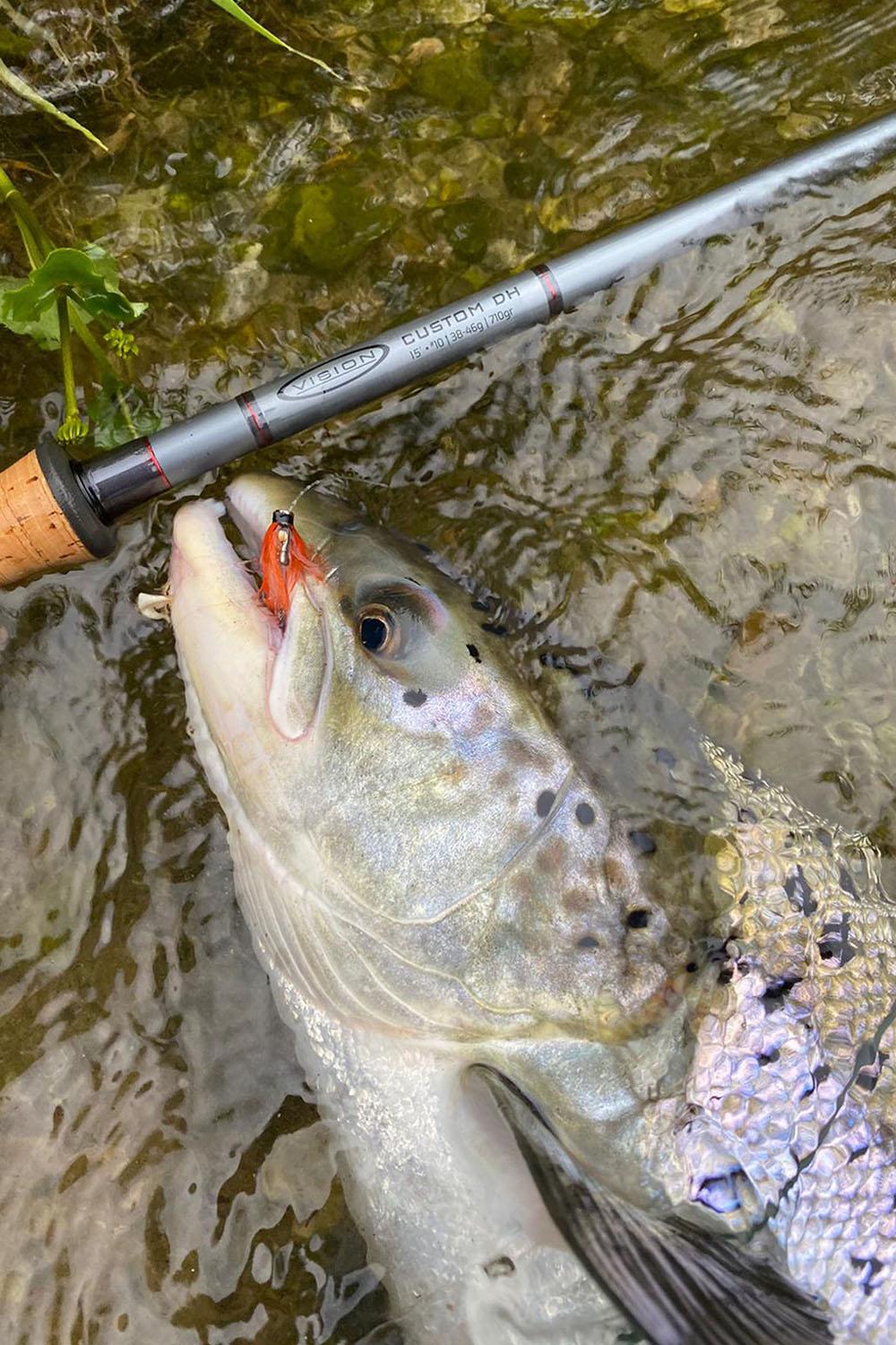 Funfish Fischereiartikel Vision Custom Dh Flyrod Skagit