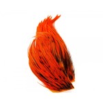 Picture of WHITING BUGGER PACK BADGER DYED ORANGE