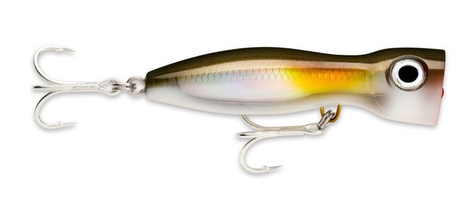 Picture of RAPALA X-RAP MAGNUM XPLODE AYU