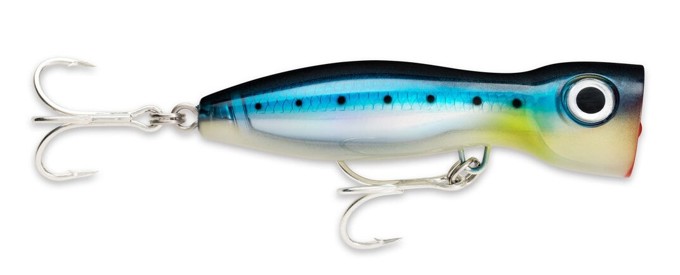 Picture of RAPALA X-RAP MAGNUM XPLODE BSRD