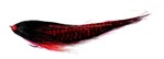 Picture of PIKE PUMU BL/RED - ANTON POUSAR