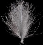 Picture of SWISSCDC FEDERN - FINEST FEATHERS PALE DUN