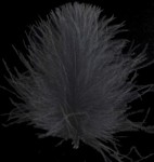 Picture of SWISSCDC FEDERN - FINEST FEATHERS BLACK