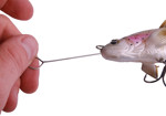 Image de IRON CLAW AT-LURE FT 15.5cm