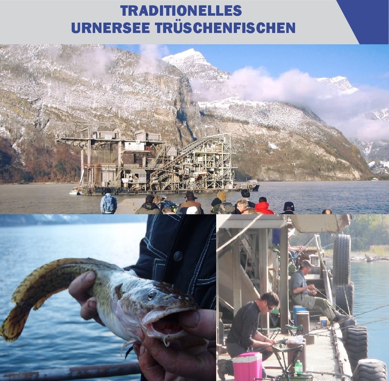 Image de SCHWIMMBAGGER TRÜSCHENFISCHEN AUF DEM URNERSEE 19.10.2024