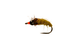 Zeige Details für CATCHY FLIES -  CADDIS NYMPH TUNGSTEN OLIVE-BLACK Bild von CATCHY FLIES -  CADDIS NYMPH TUNGSTEN OLIVE-BLACK