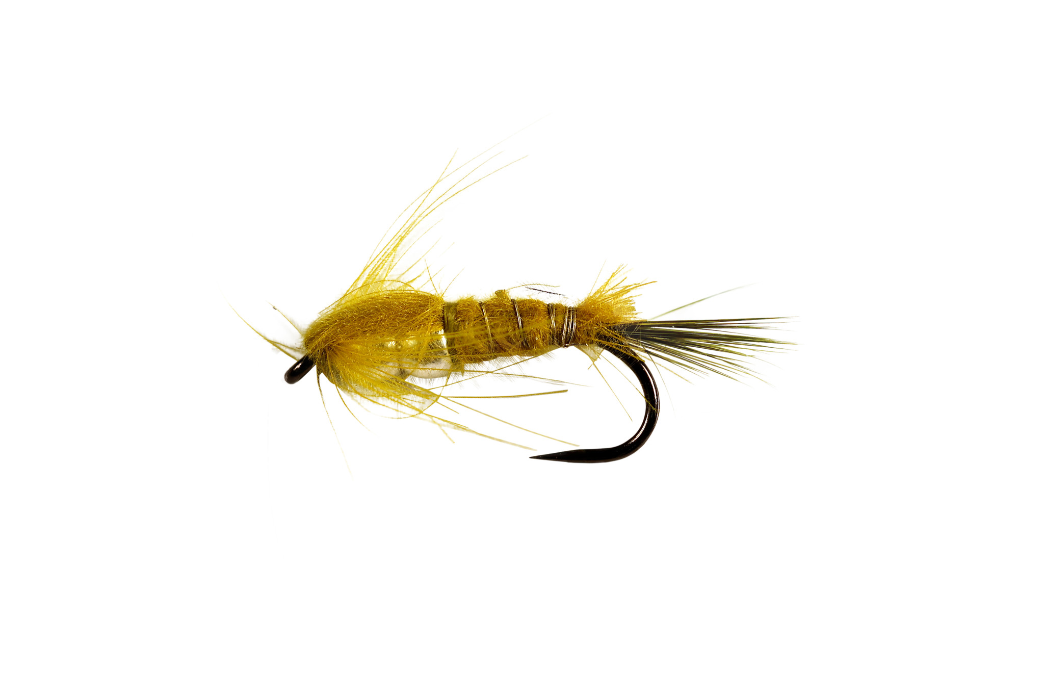 Bild von CATCHY FLIES -  WEIGHTED MAYFLY NYMPH OLIVE