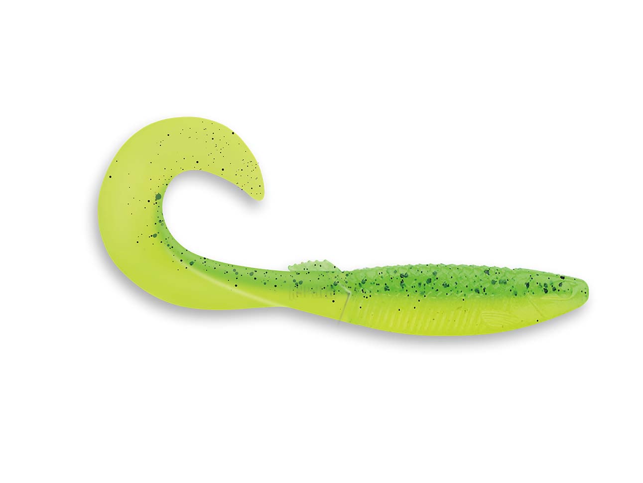 Image de CRUSHCITY CURL