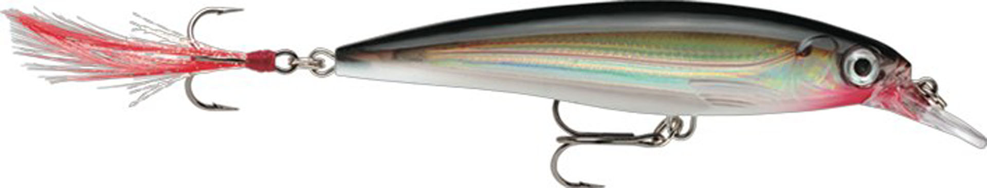 Picture of X-RAP XR08 S