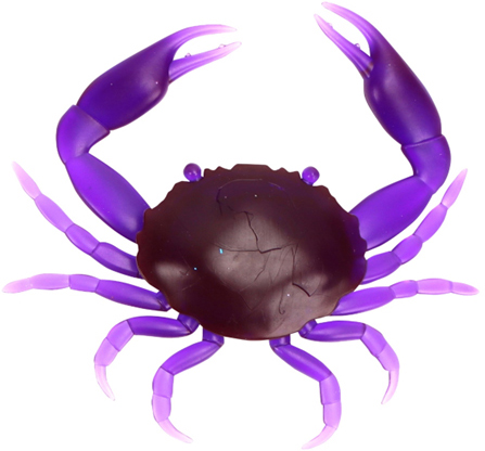 Image de CRAB S PURPLE X 1