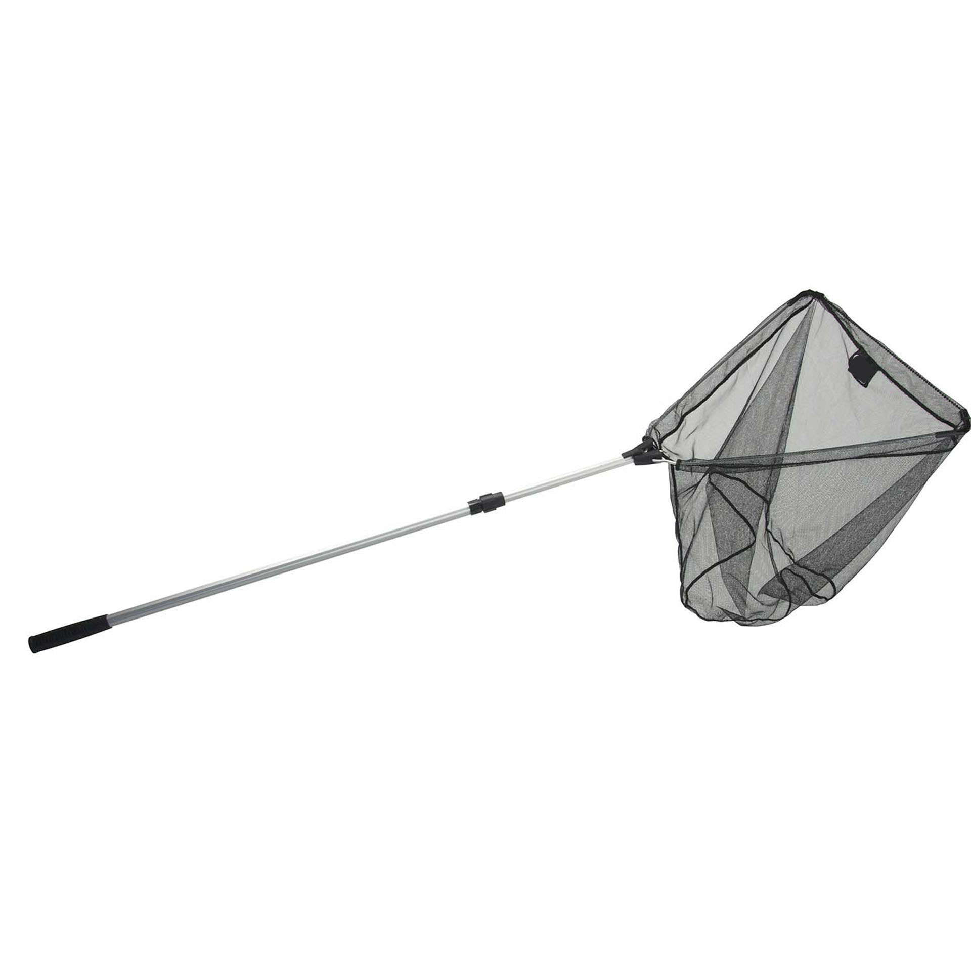 Image de EPUISETTE LOISIRS 2.00M