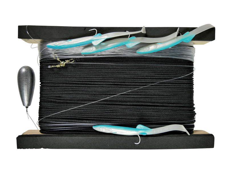 Image de SEMI HEAVY TROLLING LINE SEABASS
