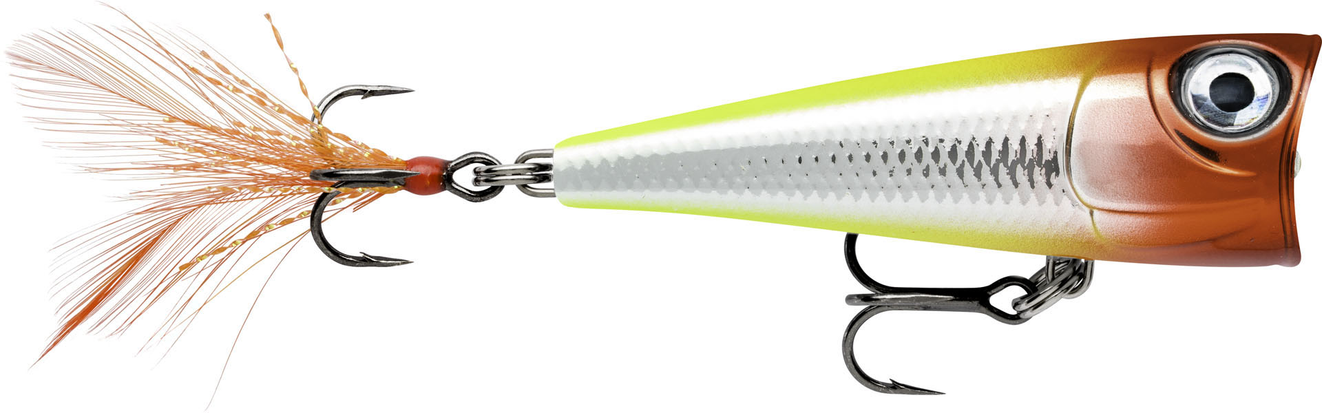 Picture of X-LIGHT POP FNP04 CLN