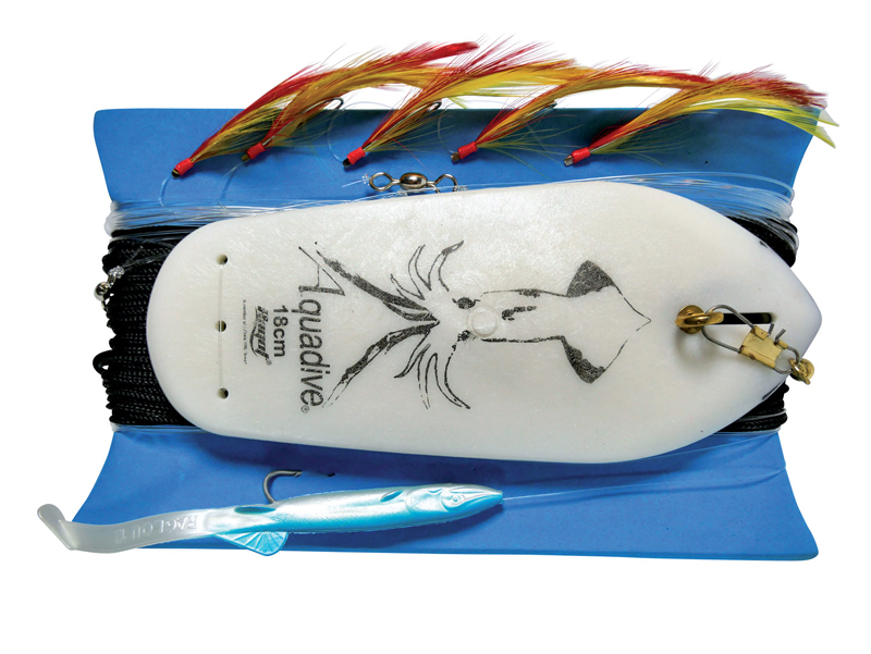 Image de LEISURE LIGHT TROLLING LINE
