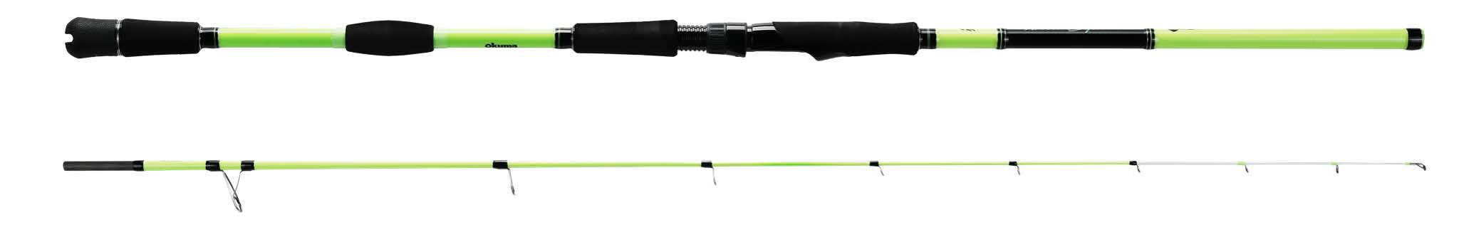 Image de WILD SQUID CAST 8'0'' 100-250G
