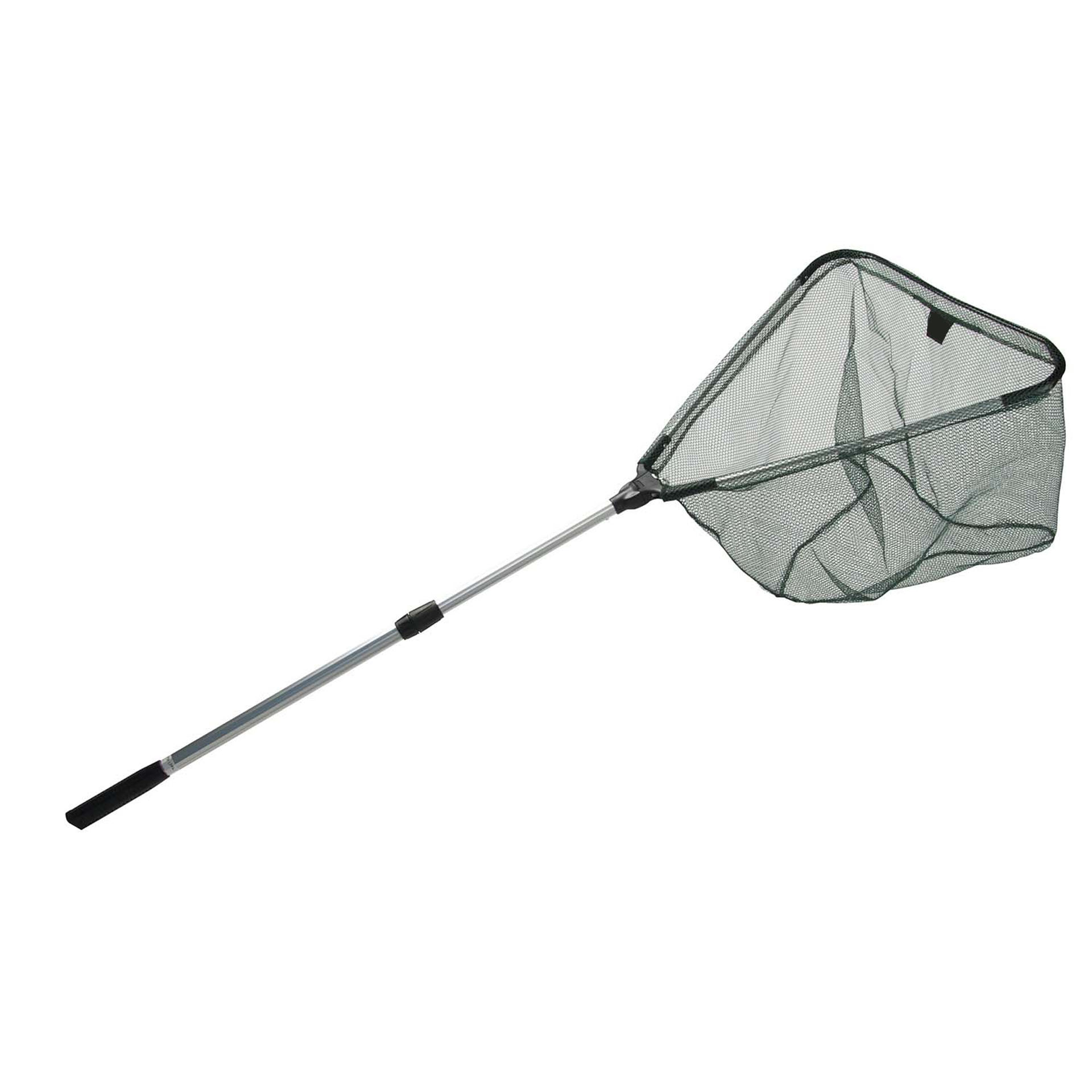 Image de EPUISETTE ALFELD 1.50M