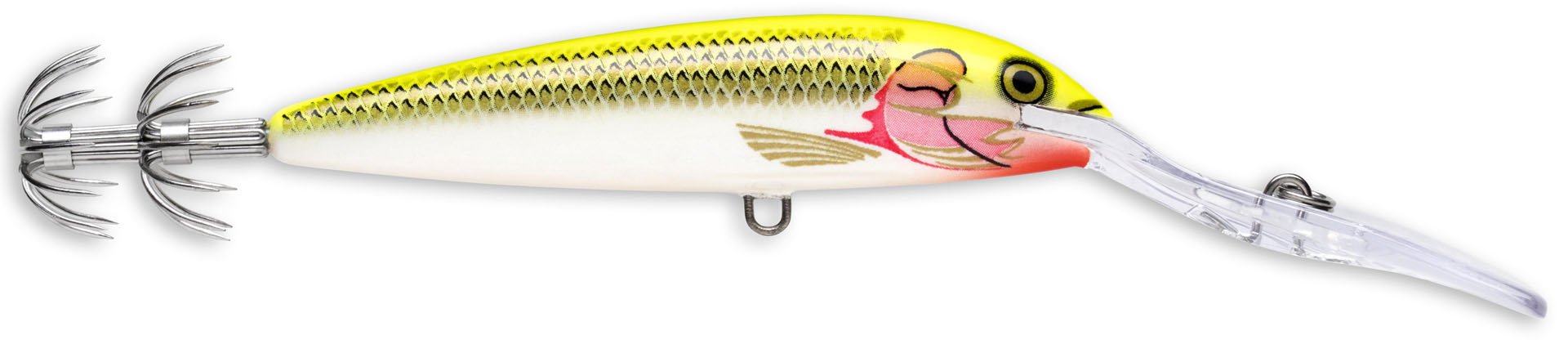 Immagine di SQUID DEEP DSQ09 SFC-