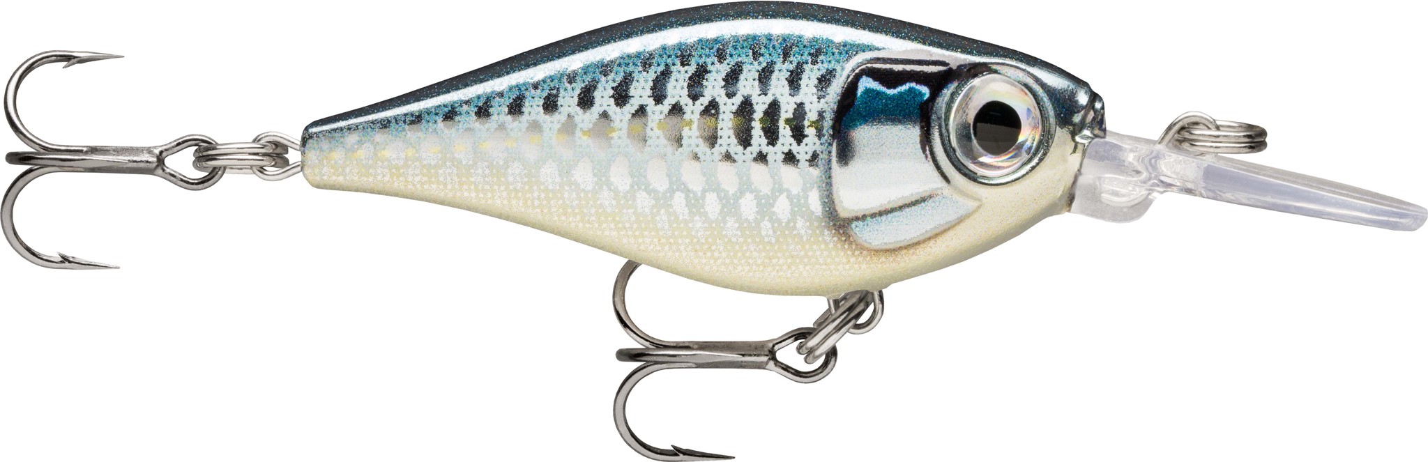 Picture of X-LIGHT SHAD 04 BAP