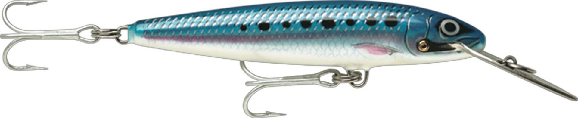 Picture of COUNTDOWN MAGNUM 11 BSRD