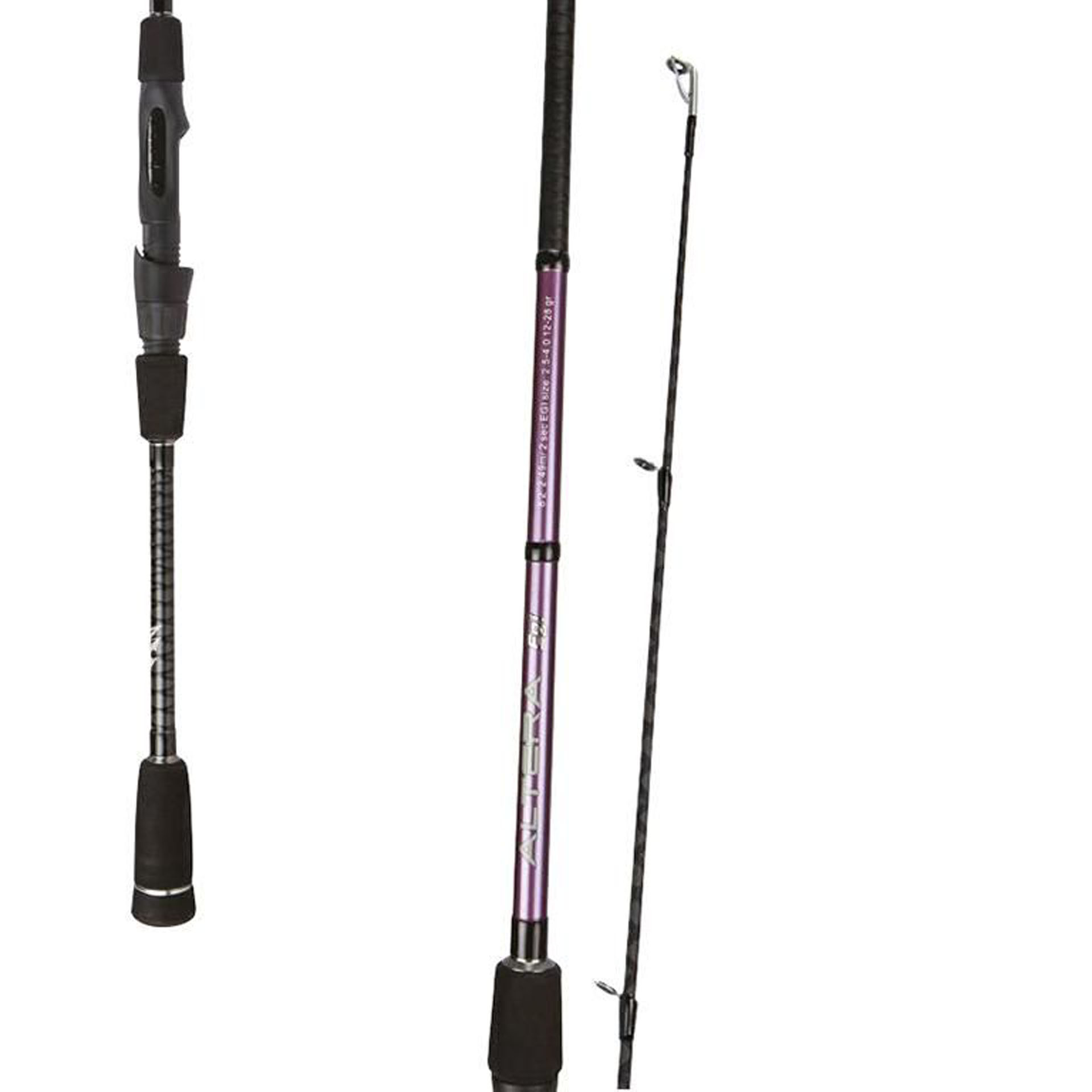 Image de ALTERA EGI 8´2´ 2.49M