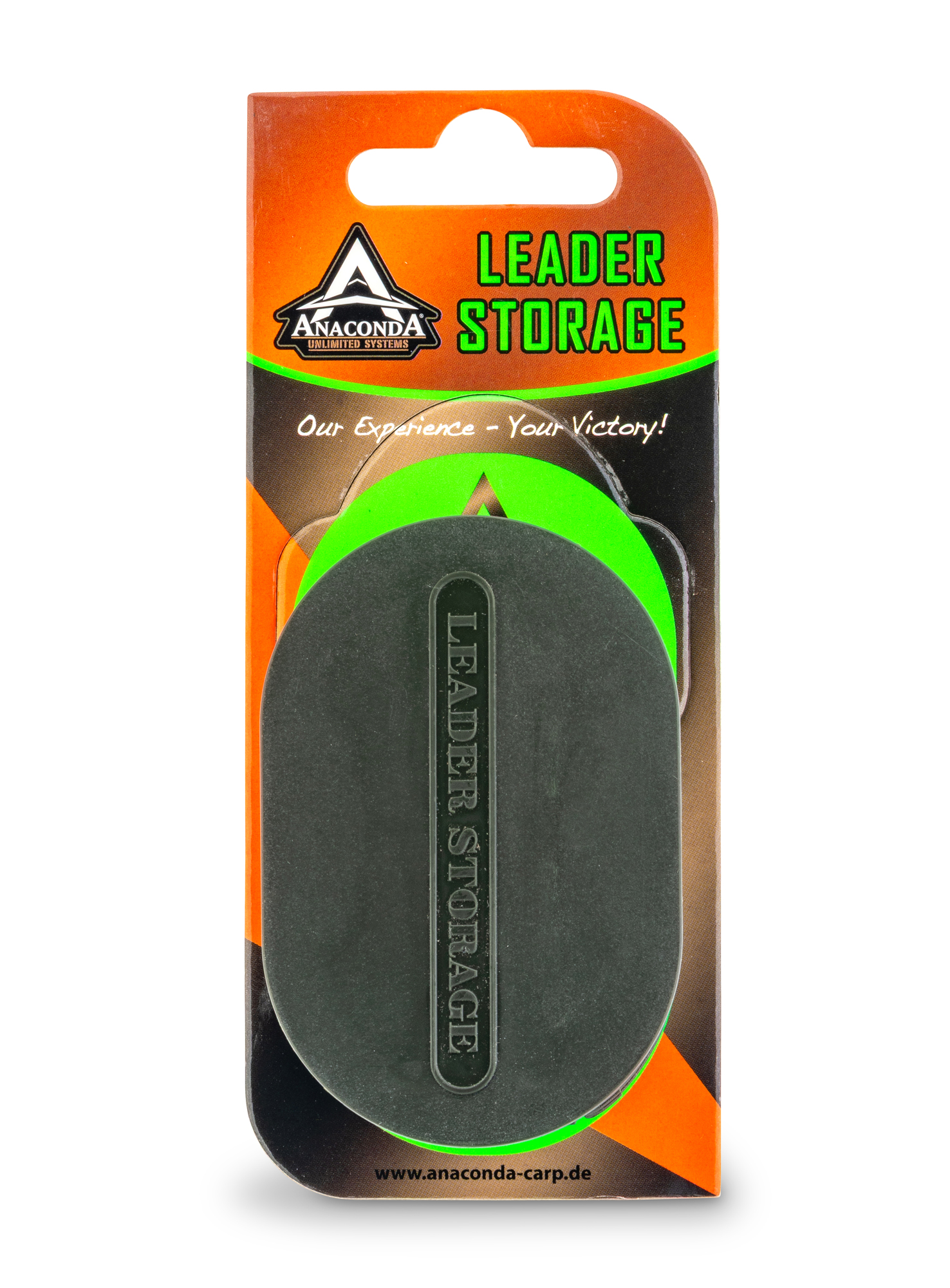 Immagine di Leader Storage