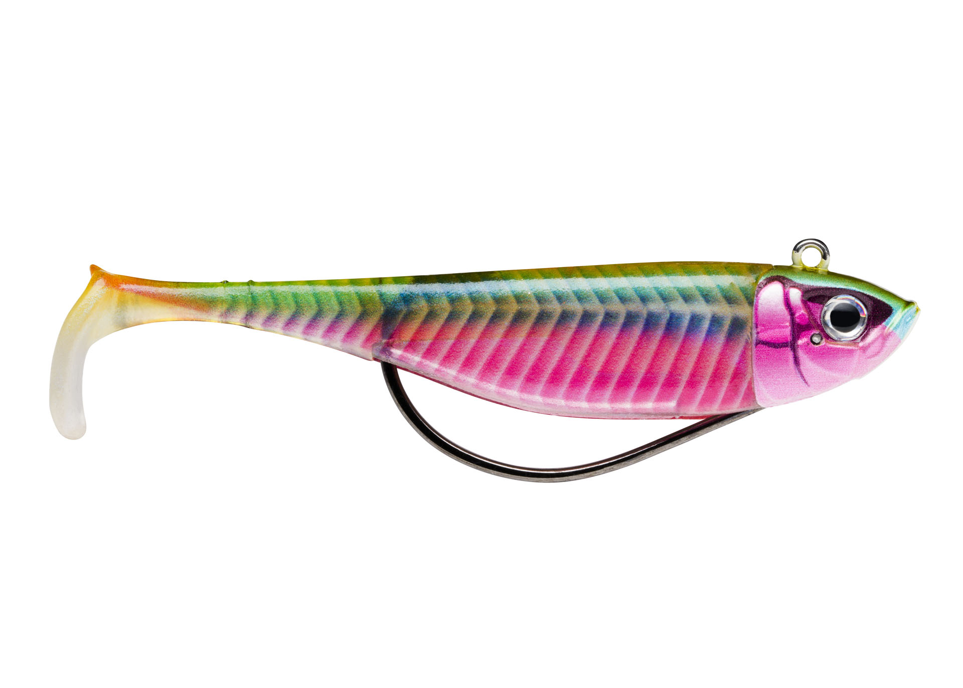 Image de BISCAY SHAD 09-10G SSDL