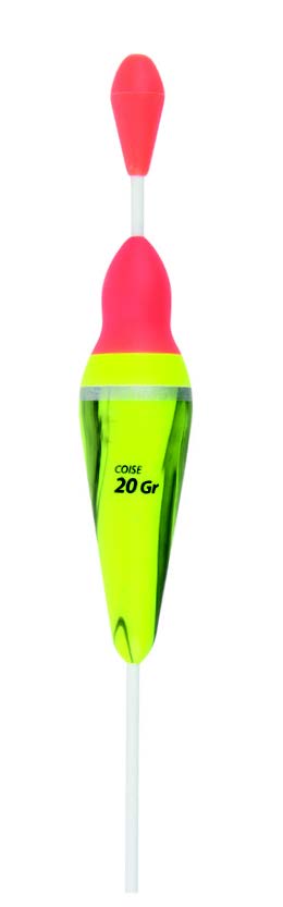 Immagine di 1FL COISE 20G